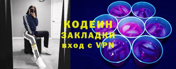трава Арсеньев