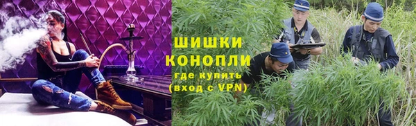 трава Арсеньев