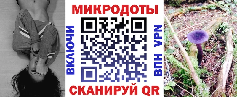 хочу   Белая Холуница  Псилоцибиновые грибы Cubensis 